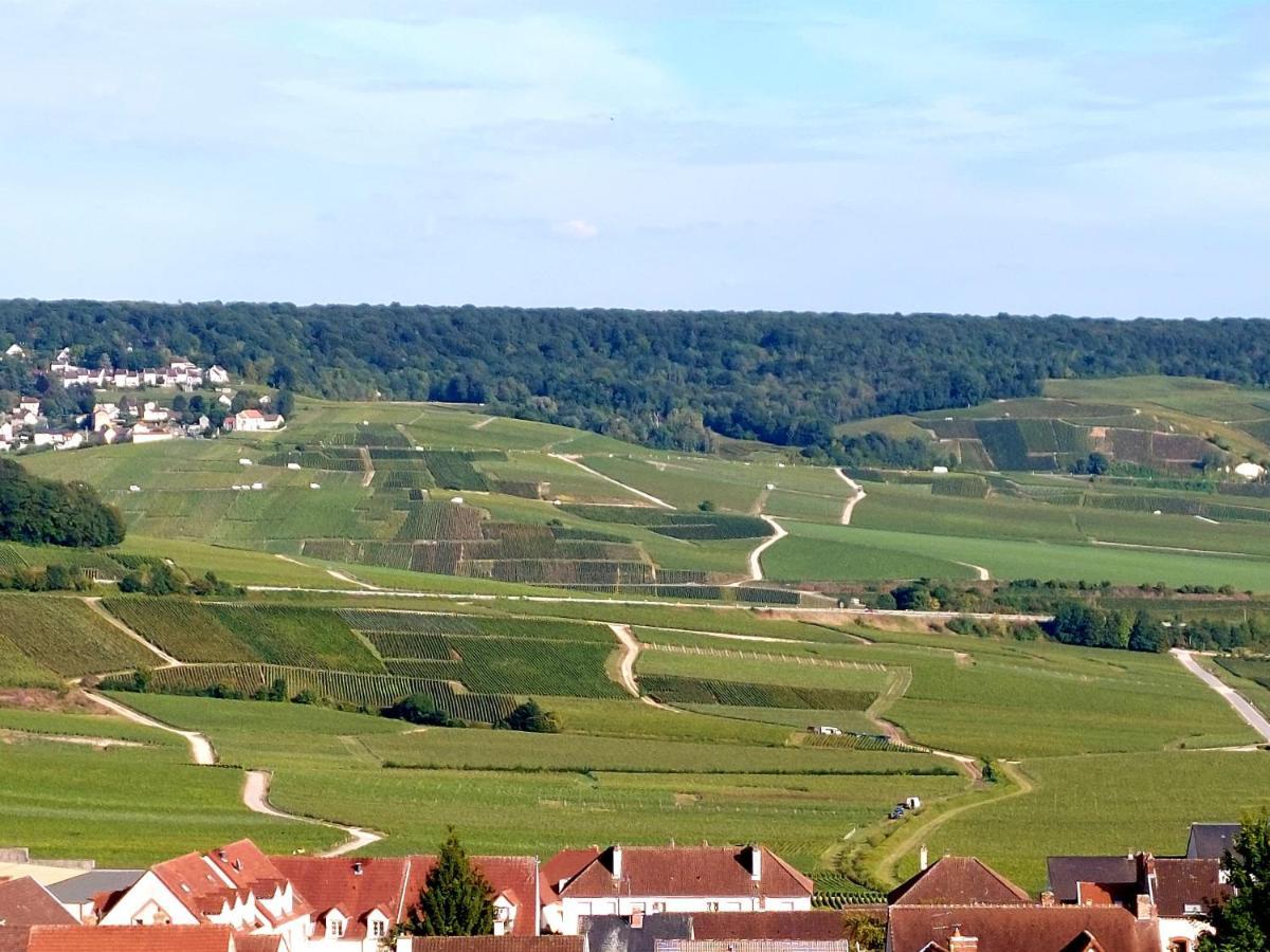 Epernay Capital De Champagne Épernay Exterior foto